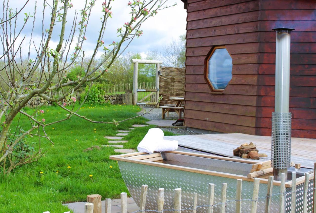 Treberfedd Farm Cottages&Cabins Lampeter Exterior foto