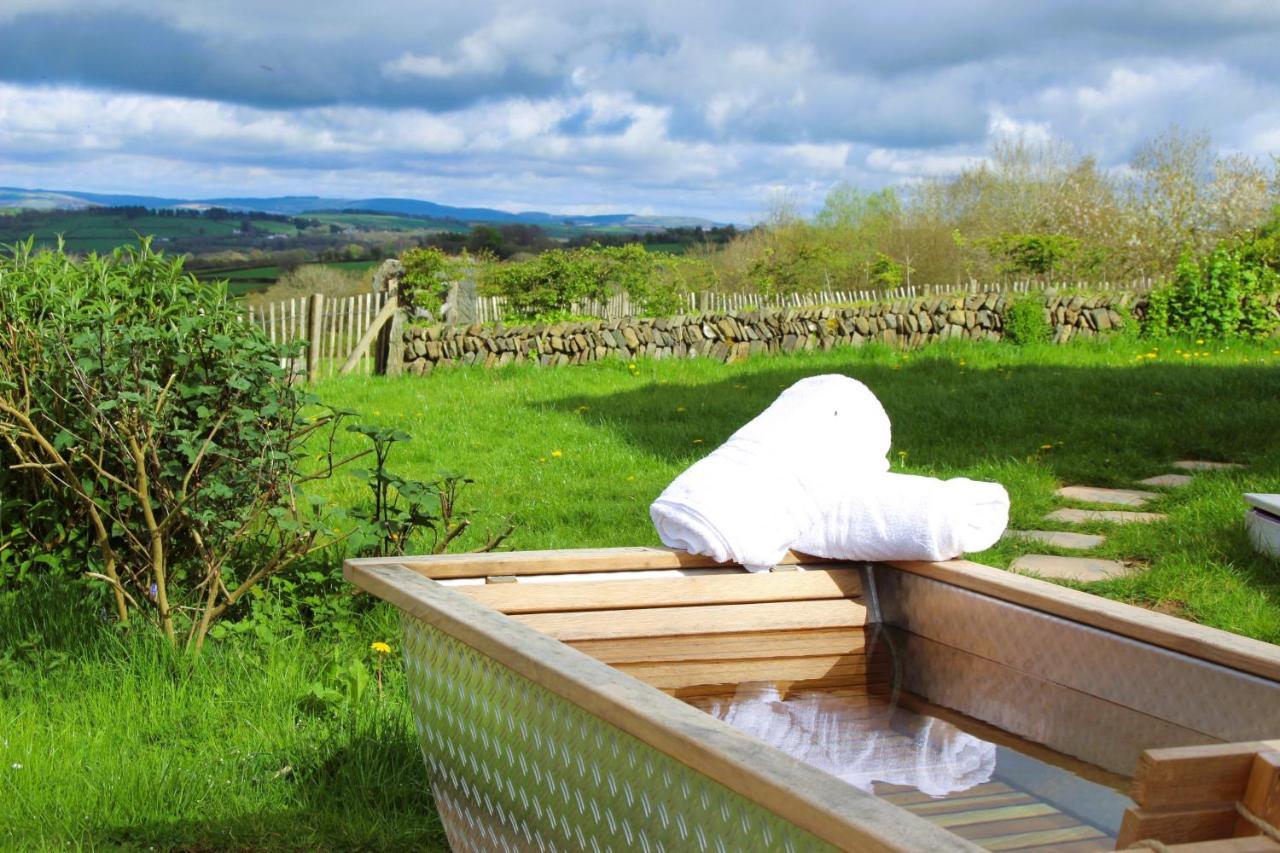 Treberfedd Farm Cottages&Cabins Lampeter Exterior foto