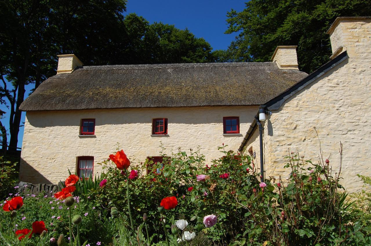 Treberfedd Farm Cottages&Cabins Lampeter Exterior foto